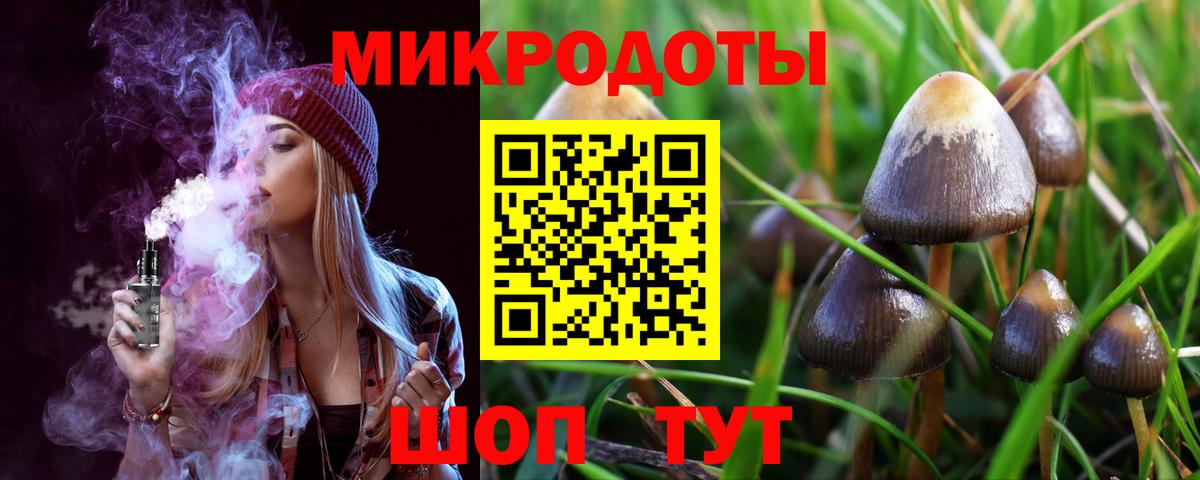 Алексин  Галлюциногенные грибы MAGIC MUSHROOMS  купить наркоту  Вход с VPN 